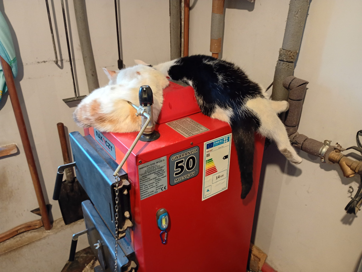 705151ea-ffc5-4d9d-936e-a11817d8d2a1