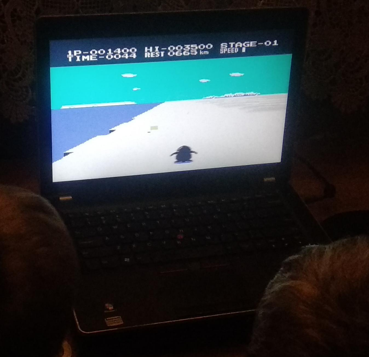 7494a2aa-0fef-4b93-a55d-140f98e372a8