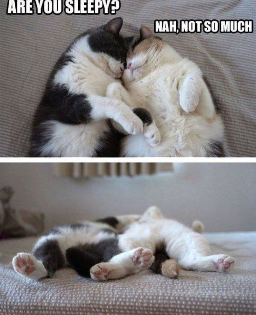 820cb2b9-9833-44f9-91cf-d16289dcb06f