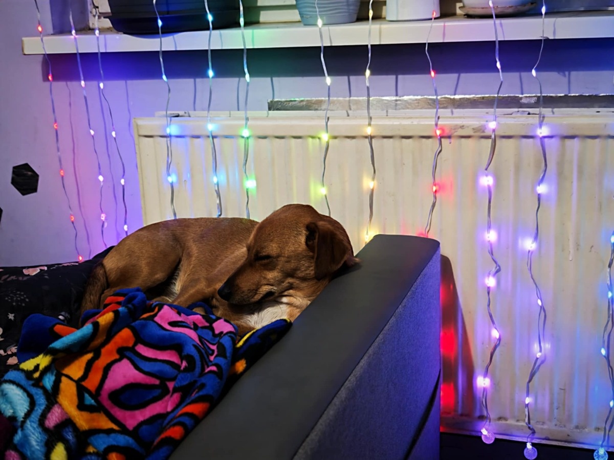 8c085eee-09d1-489d-9cb5-73647899ccf7