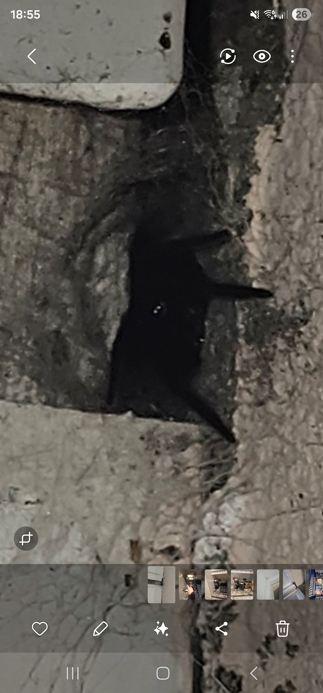 61e887e6-d504-4dff-abca-7e5461820e5b