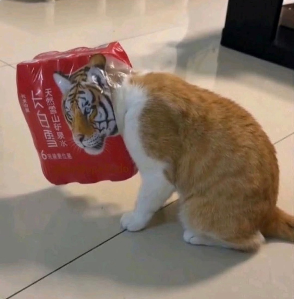 677e9c19-2019-4c99-8717-dbab7a3fdf20