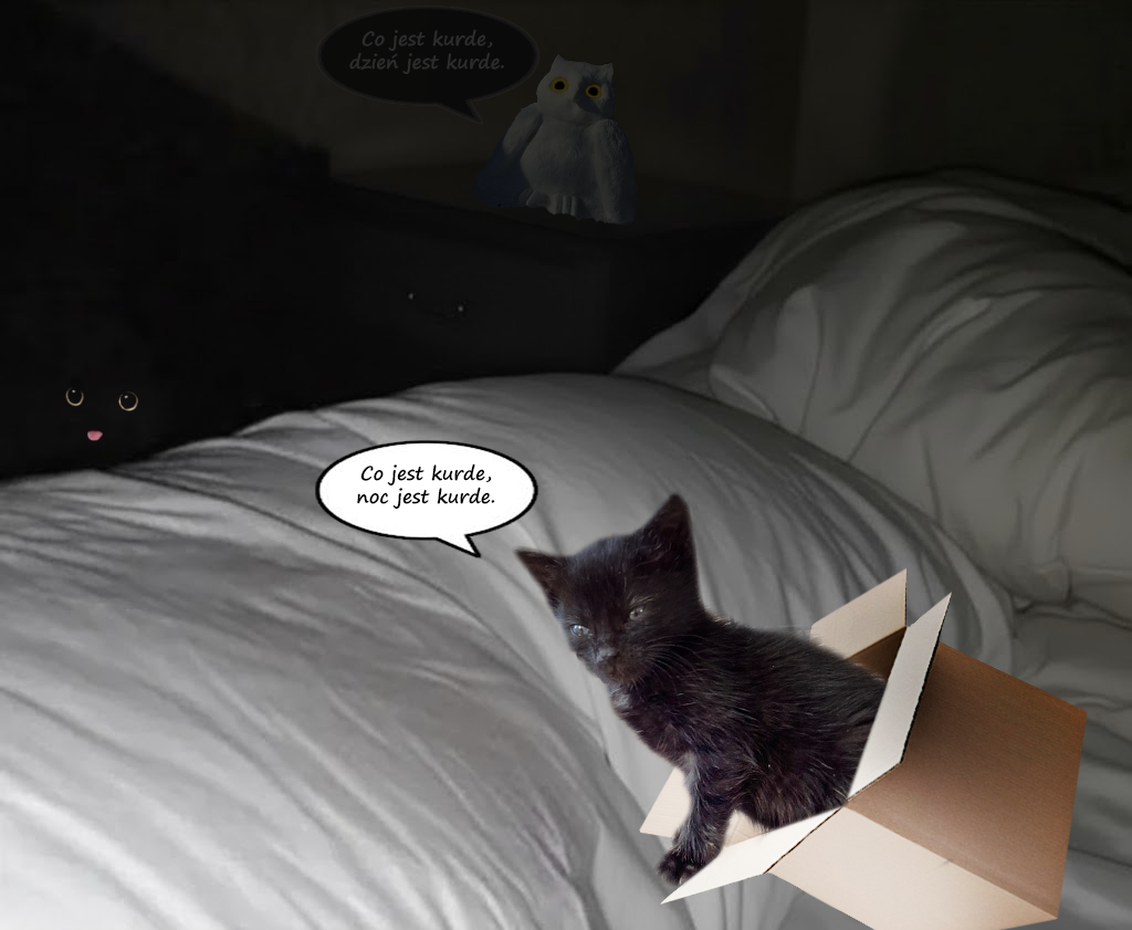 e246a6f7-b701-4fc8-81b8-6e6336239c43