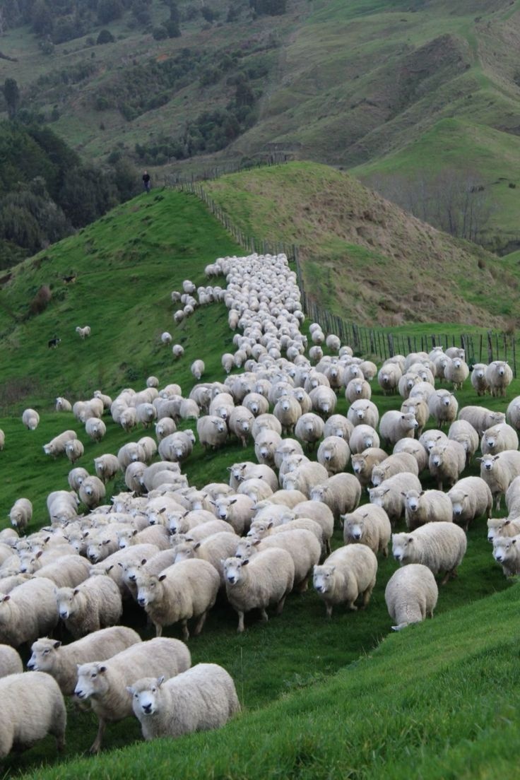 a2c01d87-b30a-4247-9858-4d2444745c58