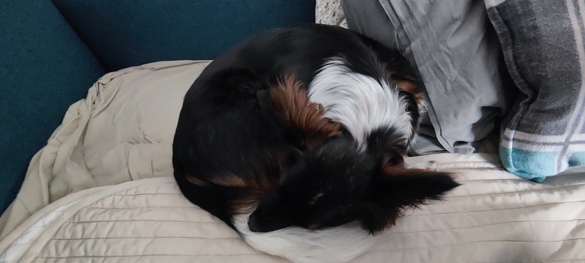 de637439-9844-4309-9fd3-4b0446de861c