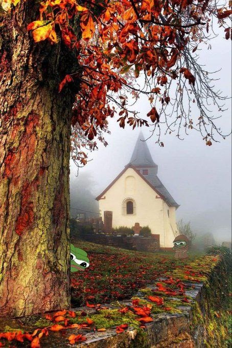 87491dab-77d6-40f6-bbad-47d18b2b88d0