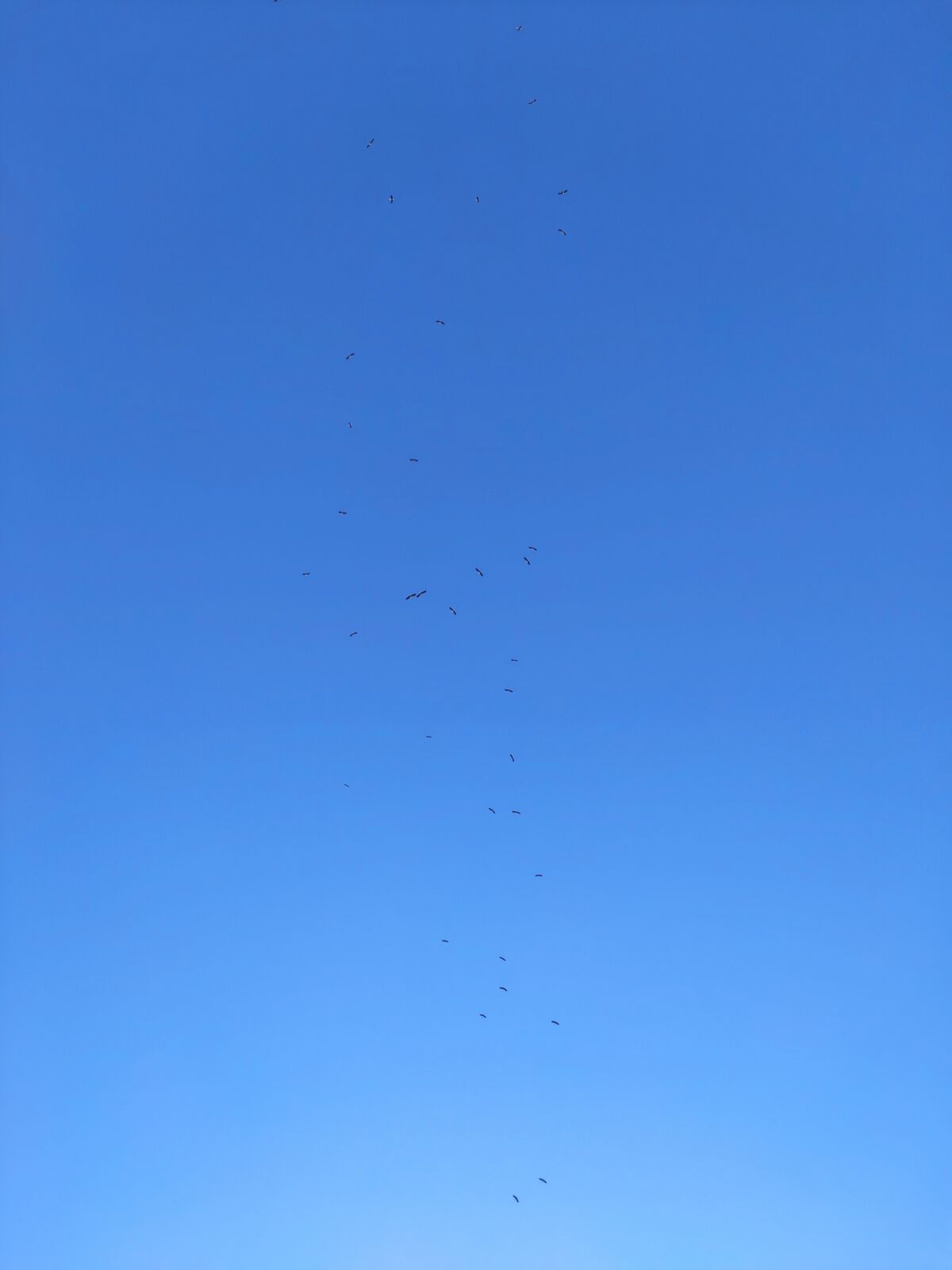 c8ac0bbb-b464-480a-833a-4610e78ea25d