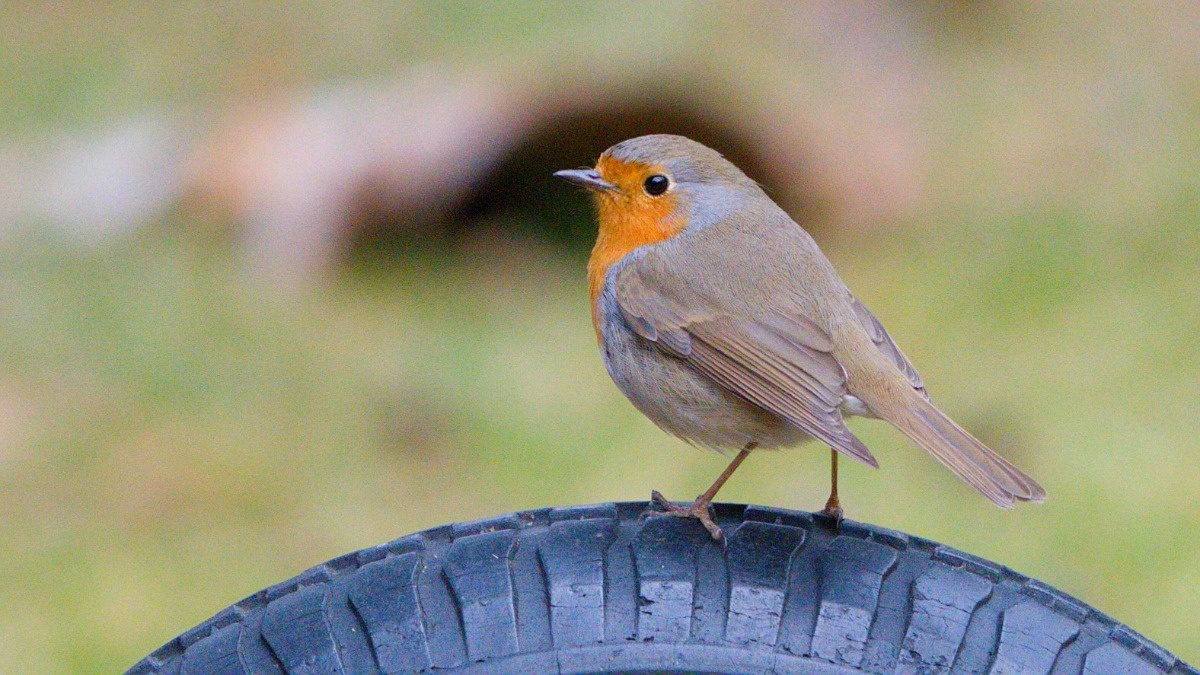 f1ffd319-622e-426c-829a-03af2b98597a