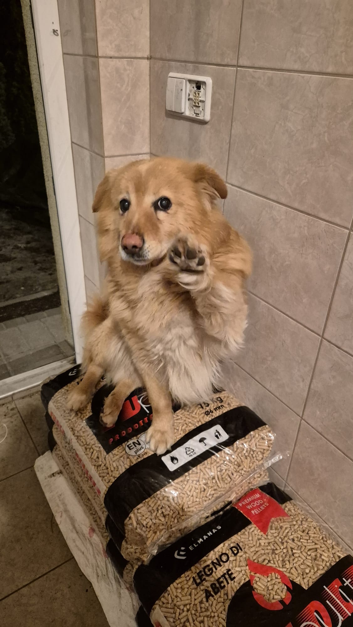 53db69de-930c-4ee1-95ac-52de6c26d601