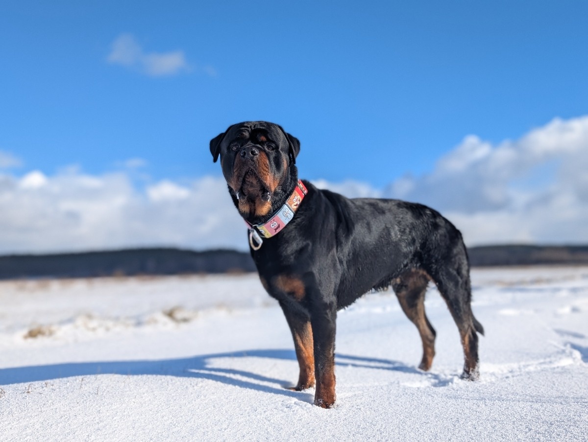 a254e5ae-b2b1-447c-983b-b1f2ccc15d62