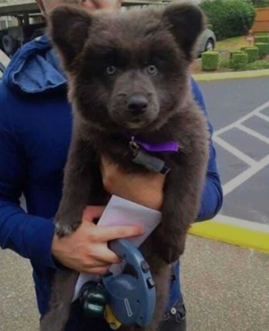 55c7f29f-c888-4f85-9d73-79feec6ecf9a