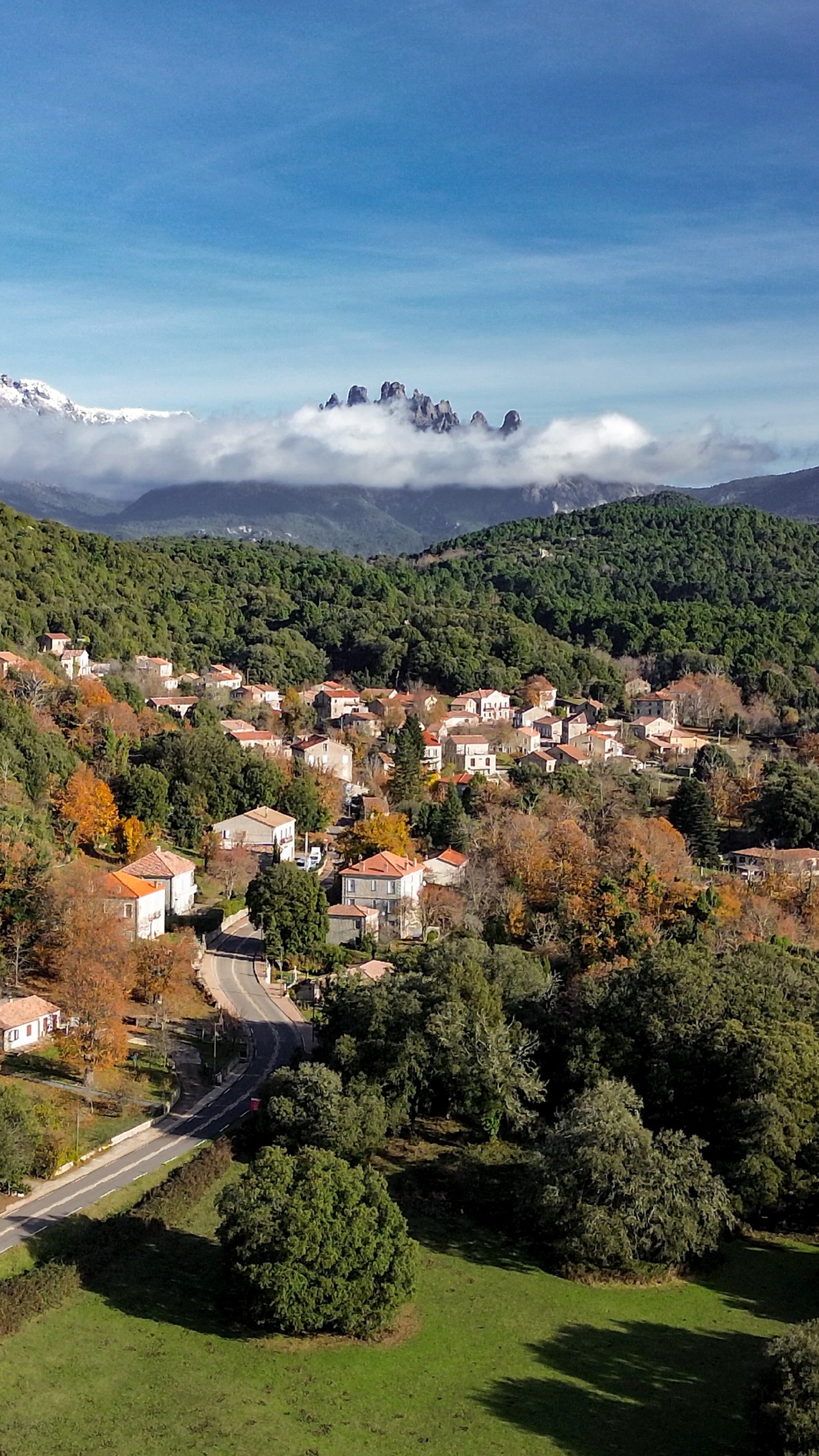 3f5ef442-301c-4710-a0f9-a5d0e3c039ae