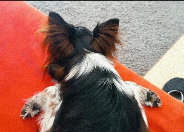 b9b3f3a4-18cc-4064-b88e-bbfdc533b196