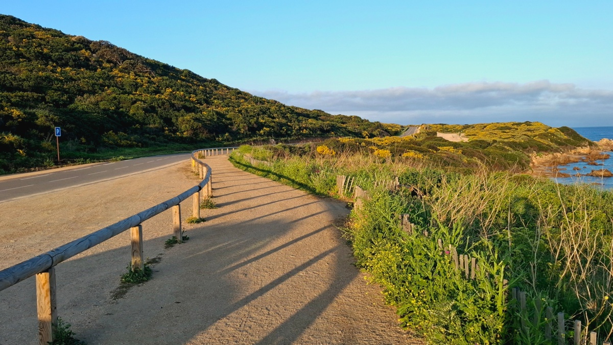 476ba596-447a-4e2a-bccc-e062140c6bf1