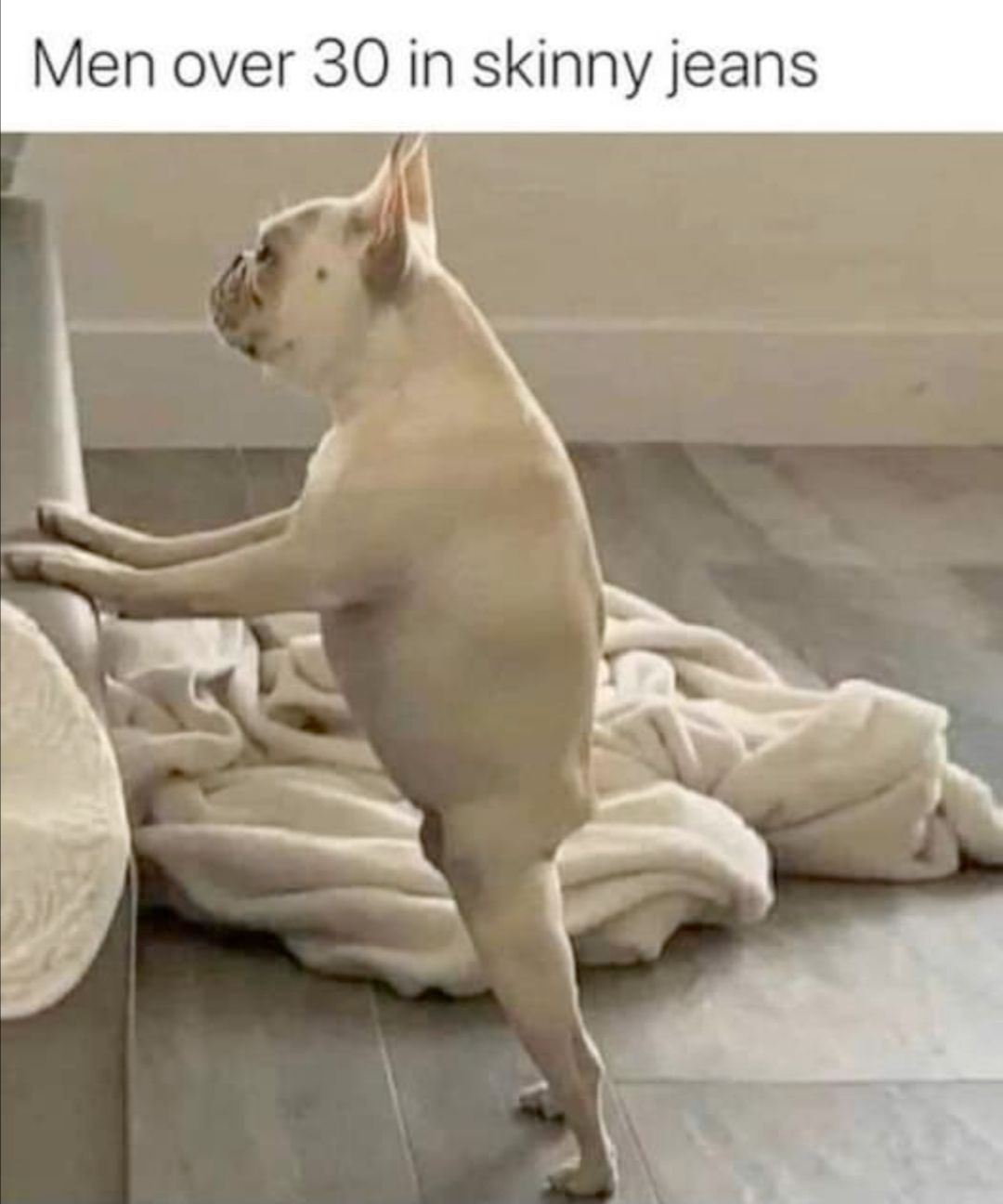 a9d1cd6c-e2eb-4de0-9708-864cb8d71d1c