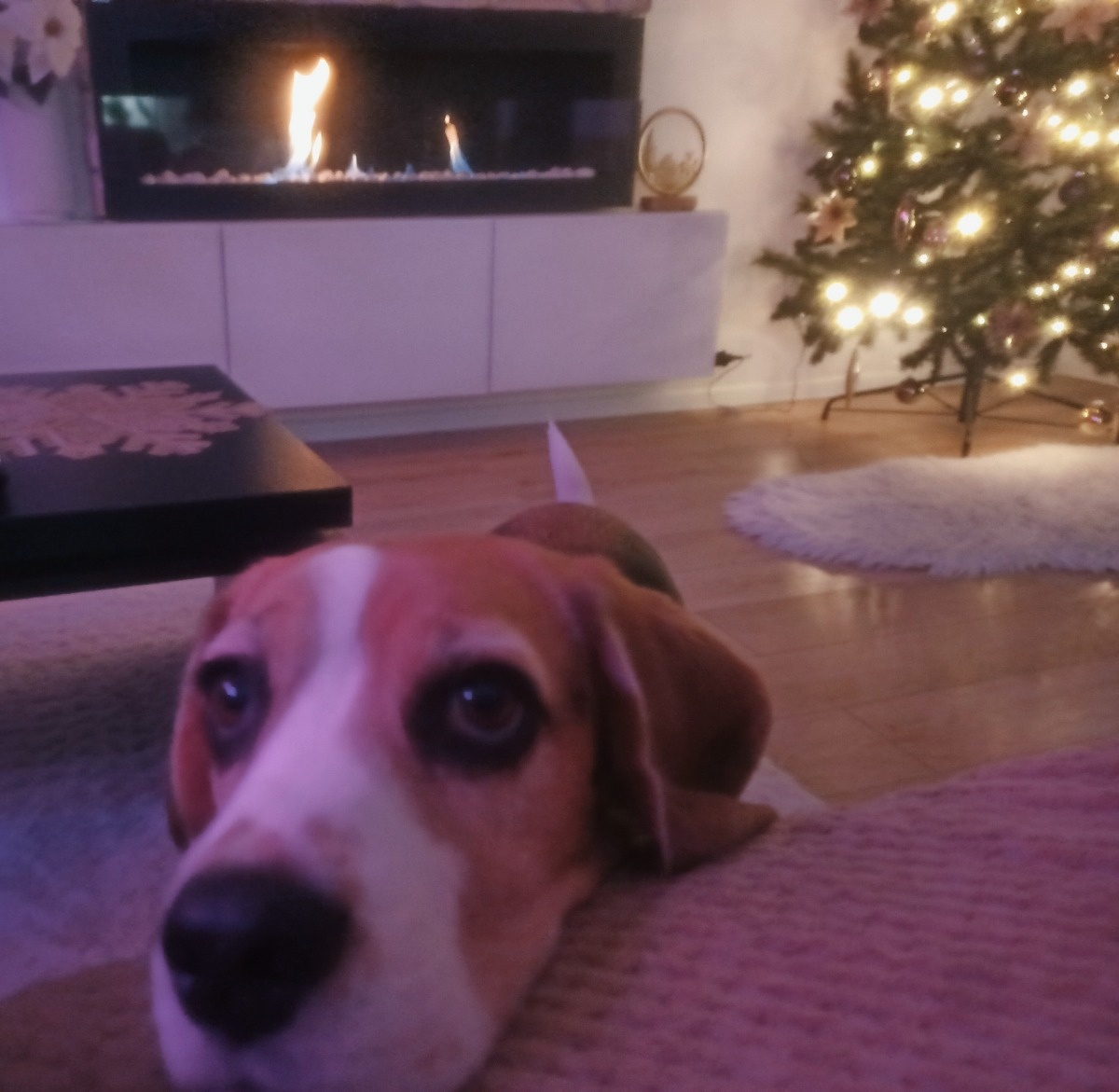 14e4f98d-8b27-4b48-a95d-a3458a00aa24