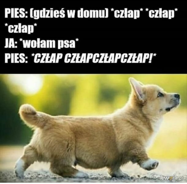 4cdadadb-78b3-4ade-abd8-e3526c9ef053