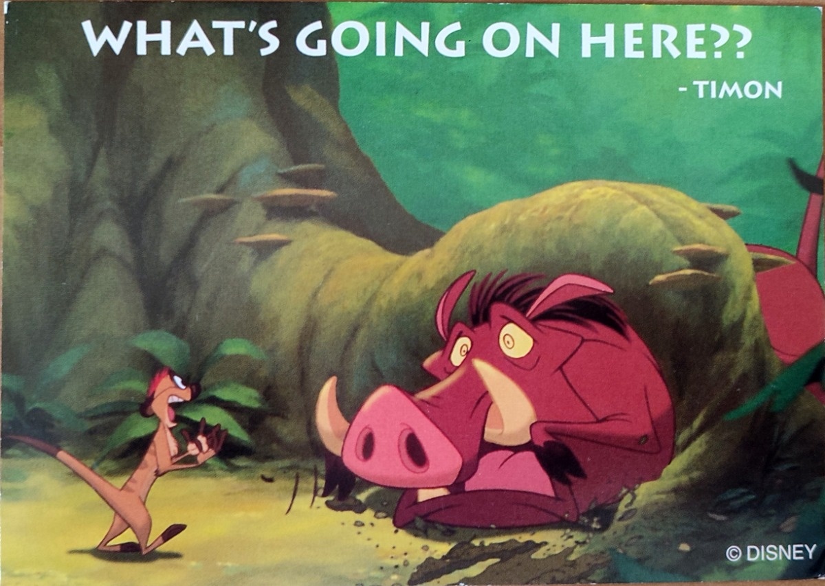 a09af8f0-f8e6-4954-baa7-de46c9defc15