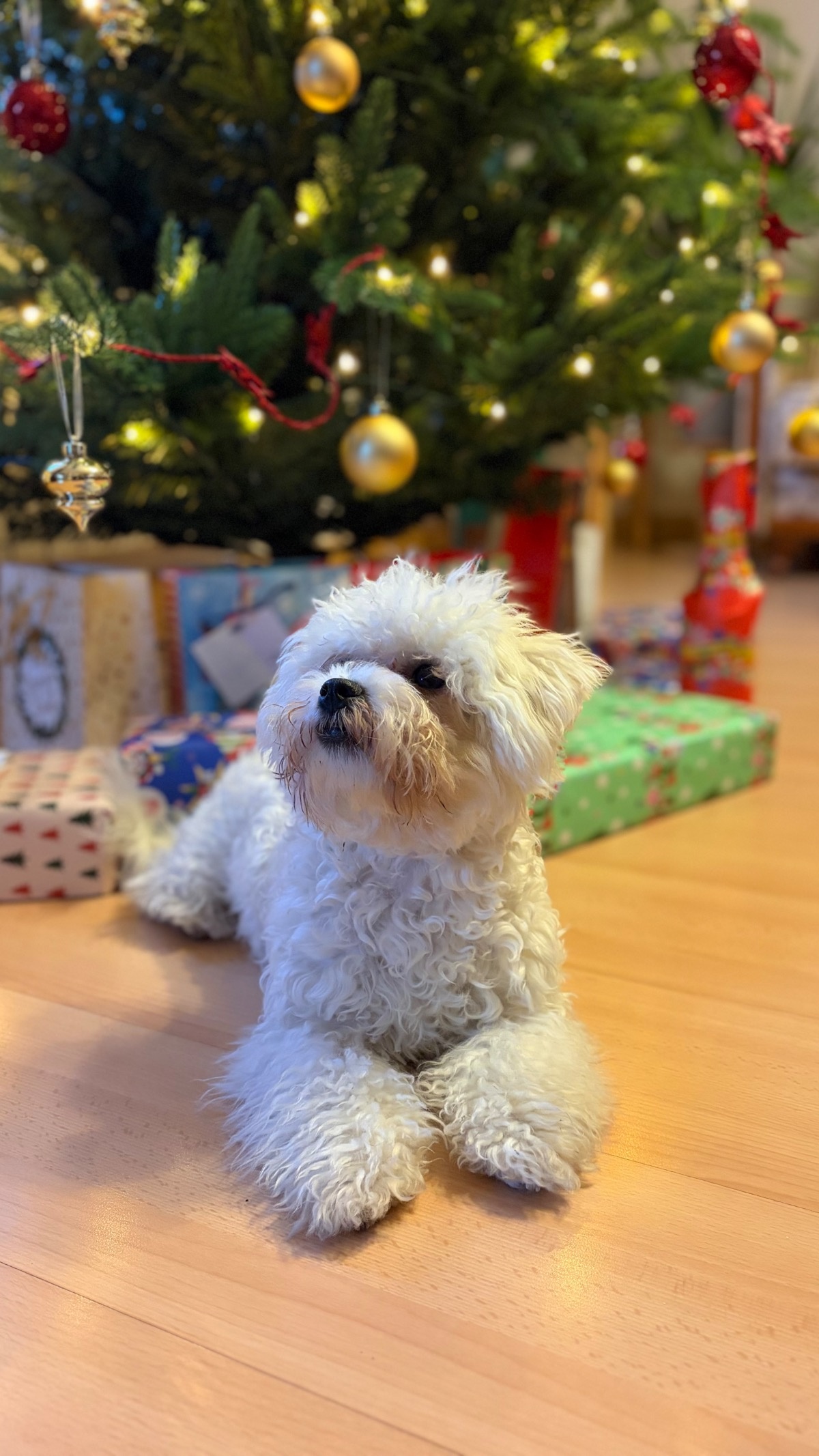 825f6148-44d4-4176-bd8f-613012cfb835