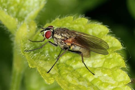 c72bab3c-0ca4-4850-9590-a6fd4253a0c5