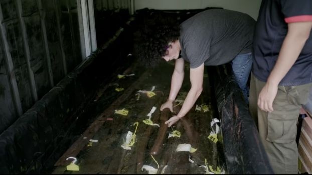 Maoryska waka w Nowej Zelandii. Przypadkowe odkrycie ojca z synem » Historykon.pl