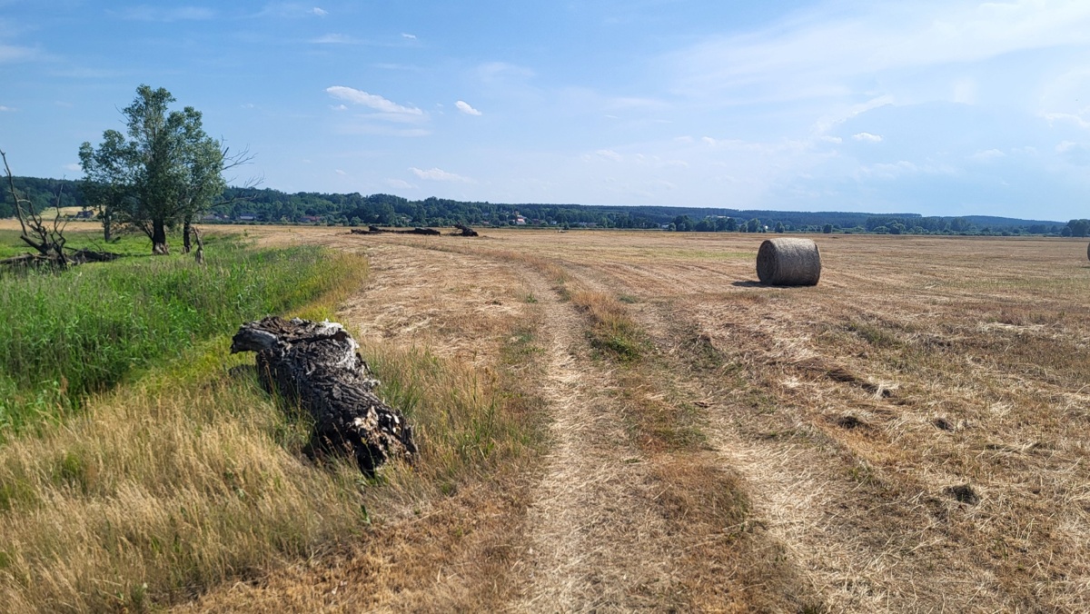 eb1f1ee3-3681-47f7-8755-49d6c12392de