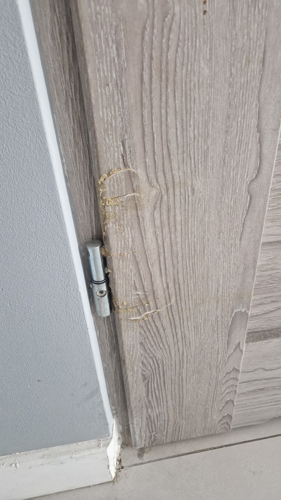 6d3a9486-b54d-46a9-8022-2d28fa5d1d87