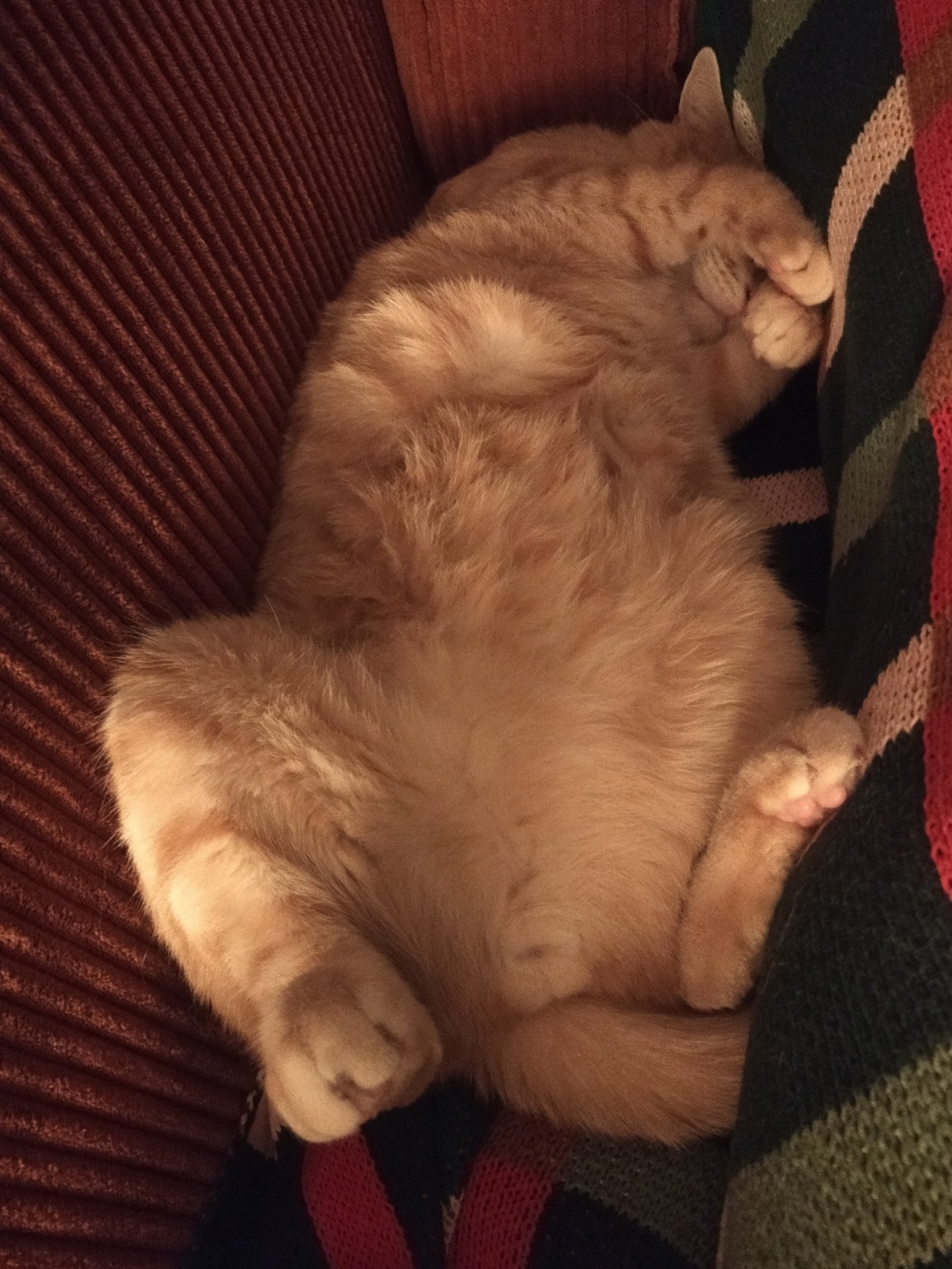 127c3ff3-3be4-4ae7-b7d3-775c35f817a4