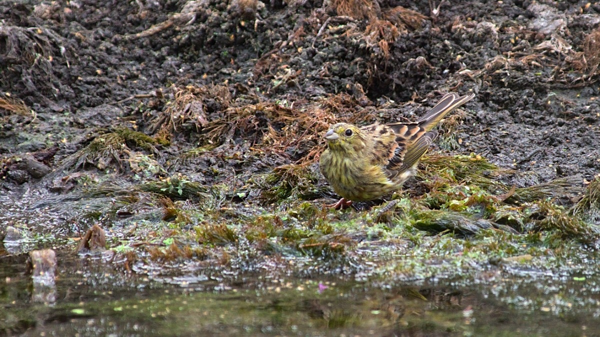 2cd9e544-1a24-4129-a1be-27b93a39554b