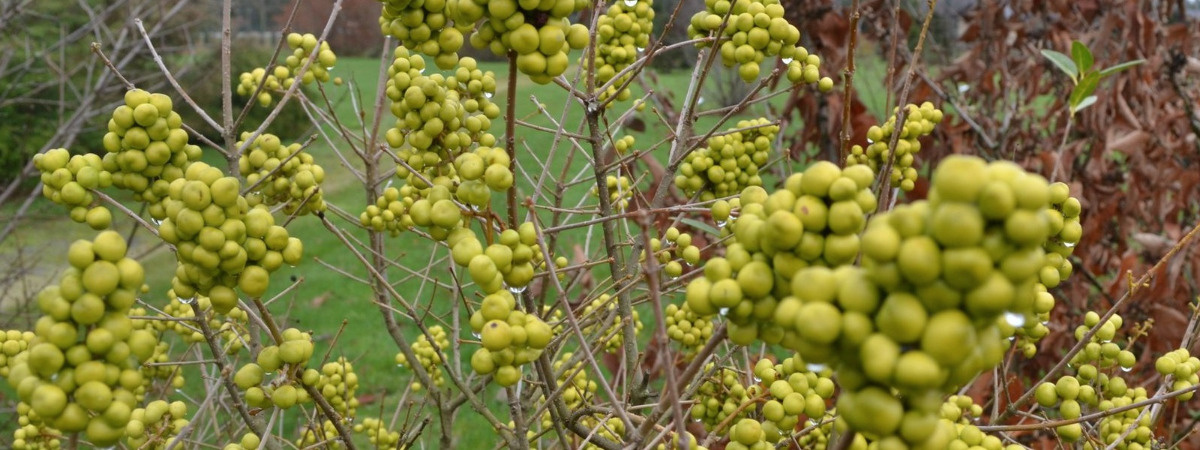 db9320ed-c401-4c4a-b437-d9b759b08ecf