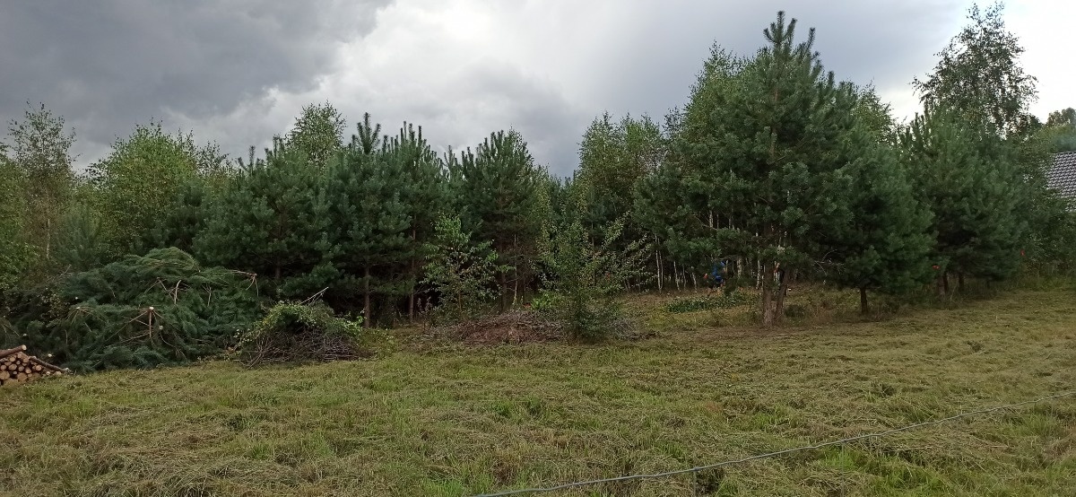 26de453a-2e67-48ef-9c19-755b4d450804