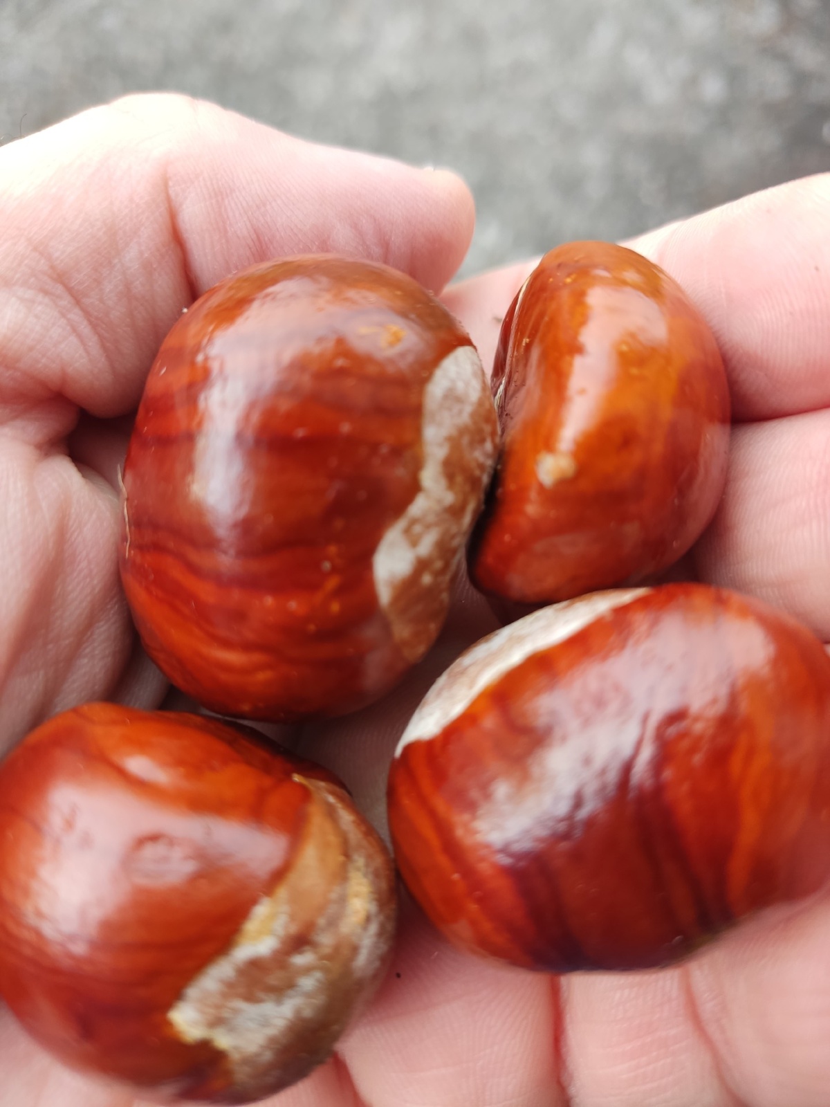 9a3e6866-7c58-4632-949f-6bc894c9ce2f