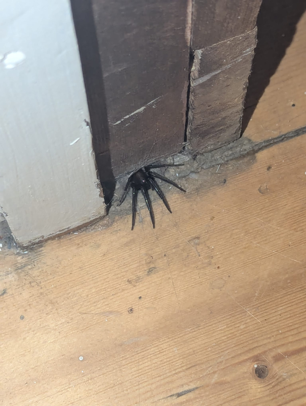 74d1626c-ca58-49bb-9442-4824b5886f4f