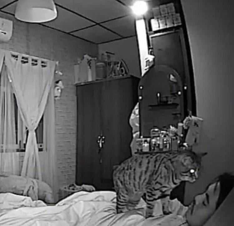 846af70c-453d-45fe-a6dc-dd09f190c4bf