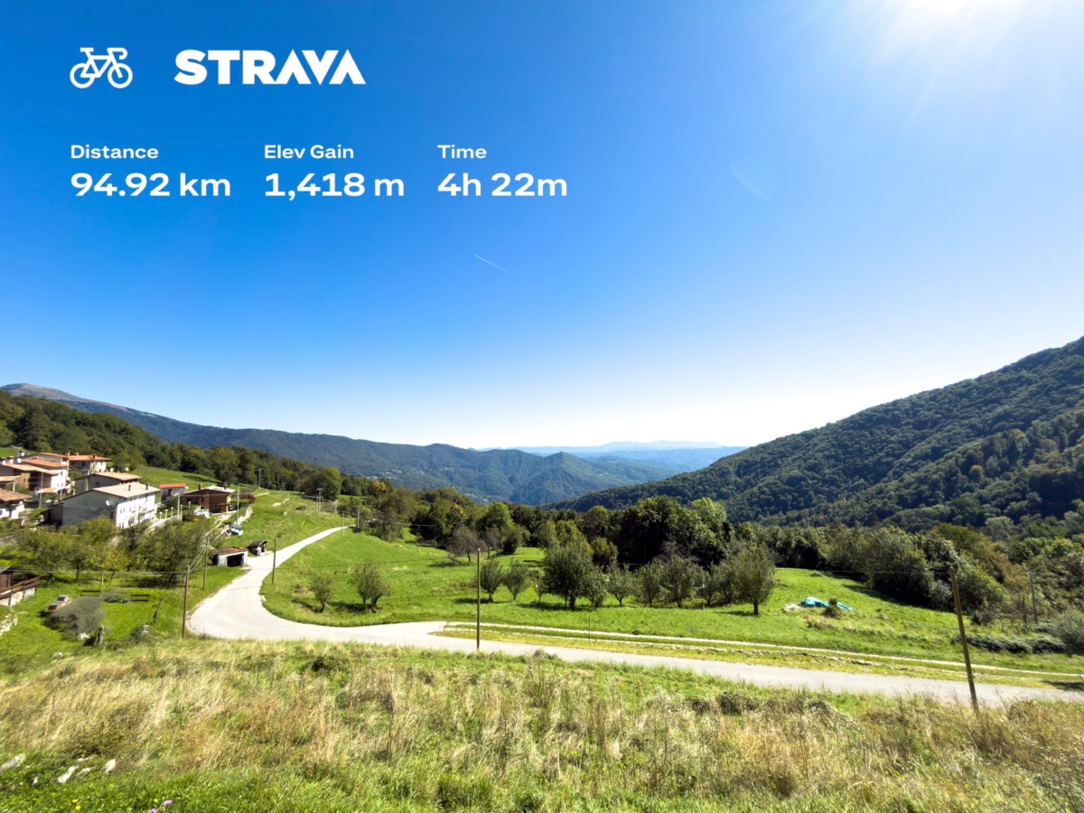 23957c72-7808-46fd-a498-c1fdbf066e75