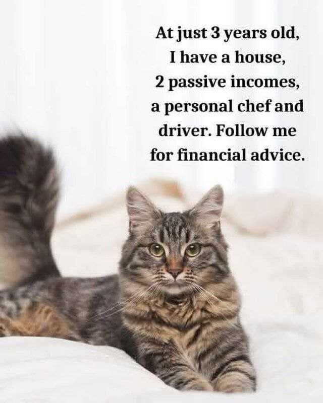 2e267ac1-75cc-4137-ab8b-01f5f6207d38