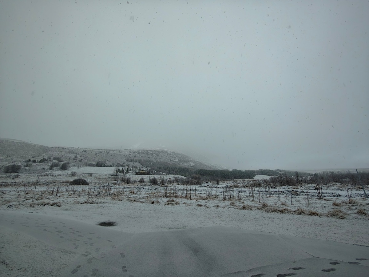 85f474fc-6b2c-4de7-8213-beef2148ff8d