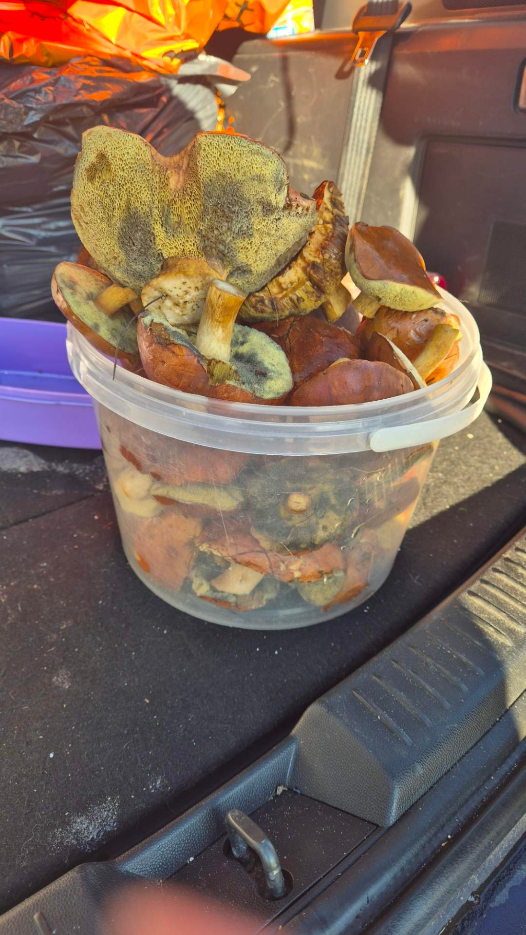 c90b7f0a-1fc0-4f42-8f1b-2f9602029600