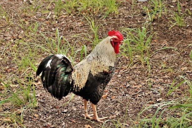 511b6fcc-fa0f-47f6-b850-fbf6a7e44bde