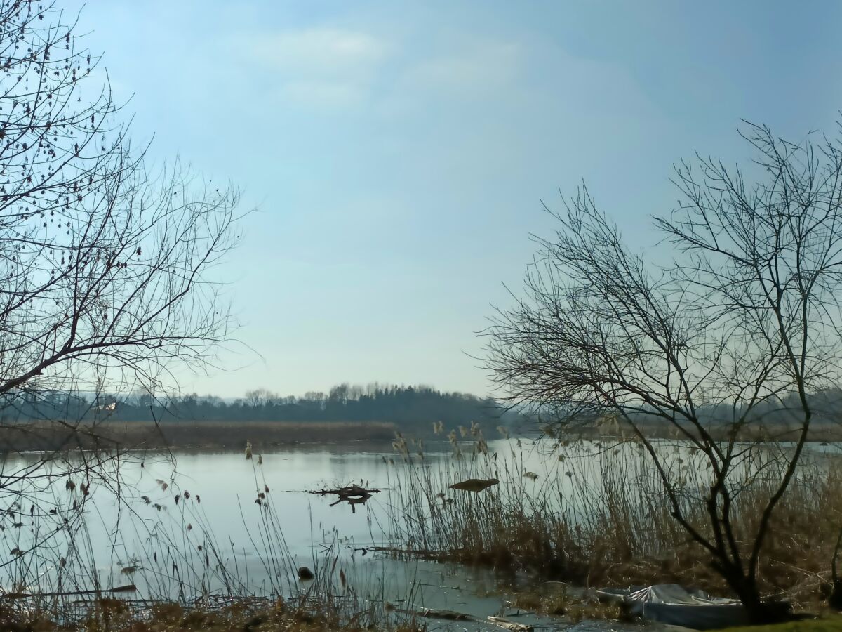 023e62b7-62b5-473d-b207-0614f6a7343a