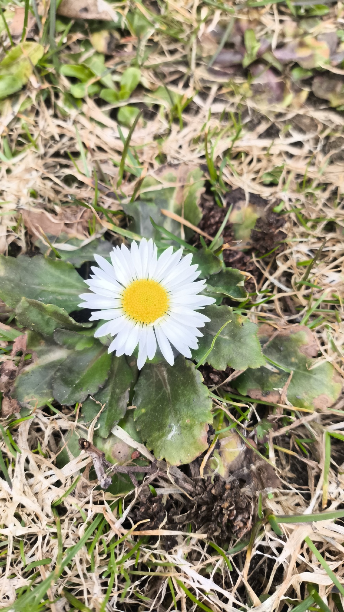 93e14b97-870e-4729-aaa4-97262d5a068f