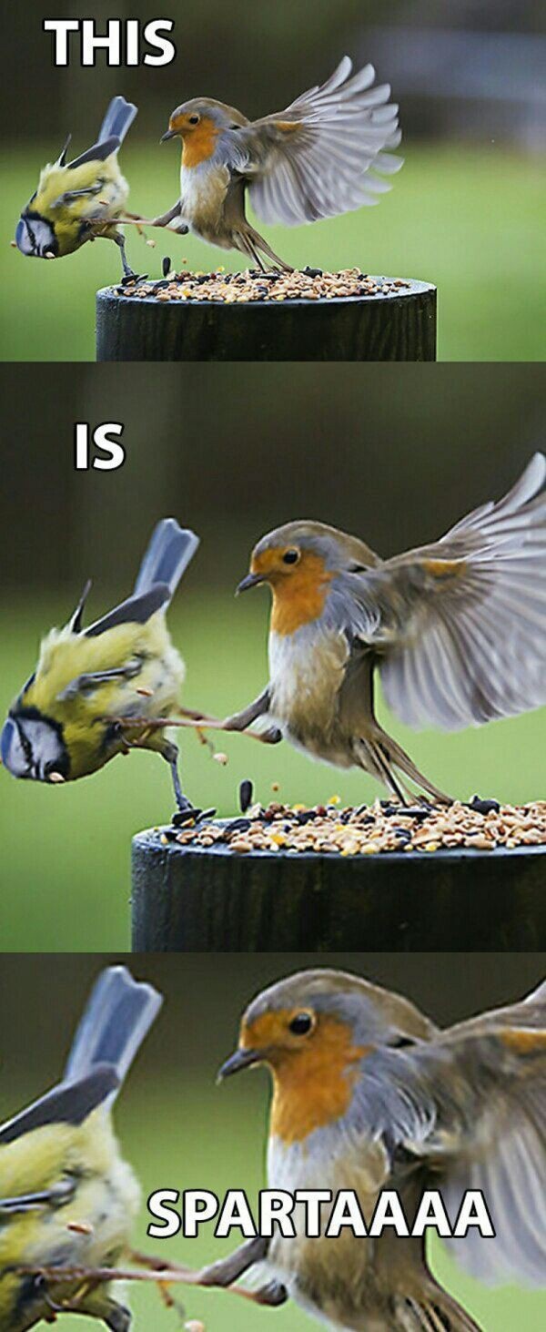 27724a1c-5485-4c91-9eaf-cad918b2bcbf