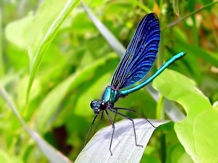 281ea79c-6d40-4112-a71b-e9b388b905a5