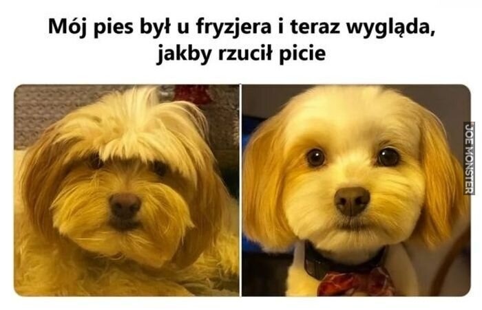 21ef2d8c-7c04-47fa-ba65-63ed1008a5de