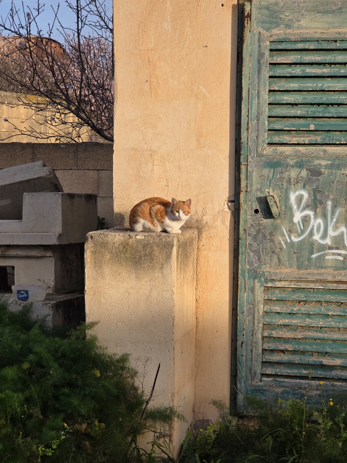 b5c1b243-3681-449e-9f2c-cd2df9cd14a7