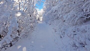 USA. Rekord na pograniczu Nevady i Kalifornii. W rejonie jeziora Tahoe spadło prawie 5 m śniegu