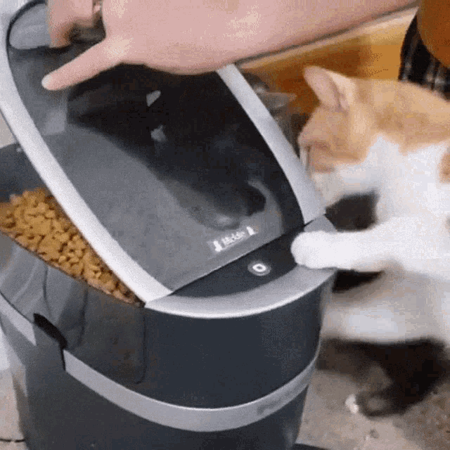 f9f2d216-ff04-4330-a4a8-099186ca9747