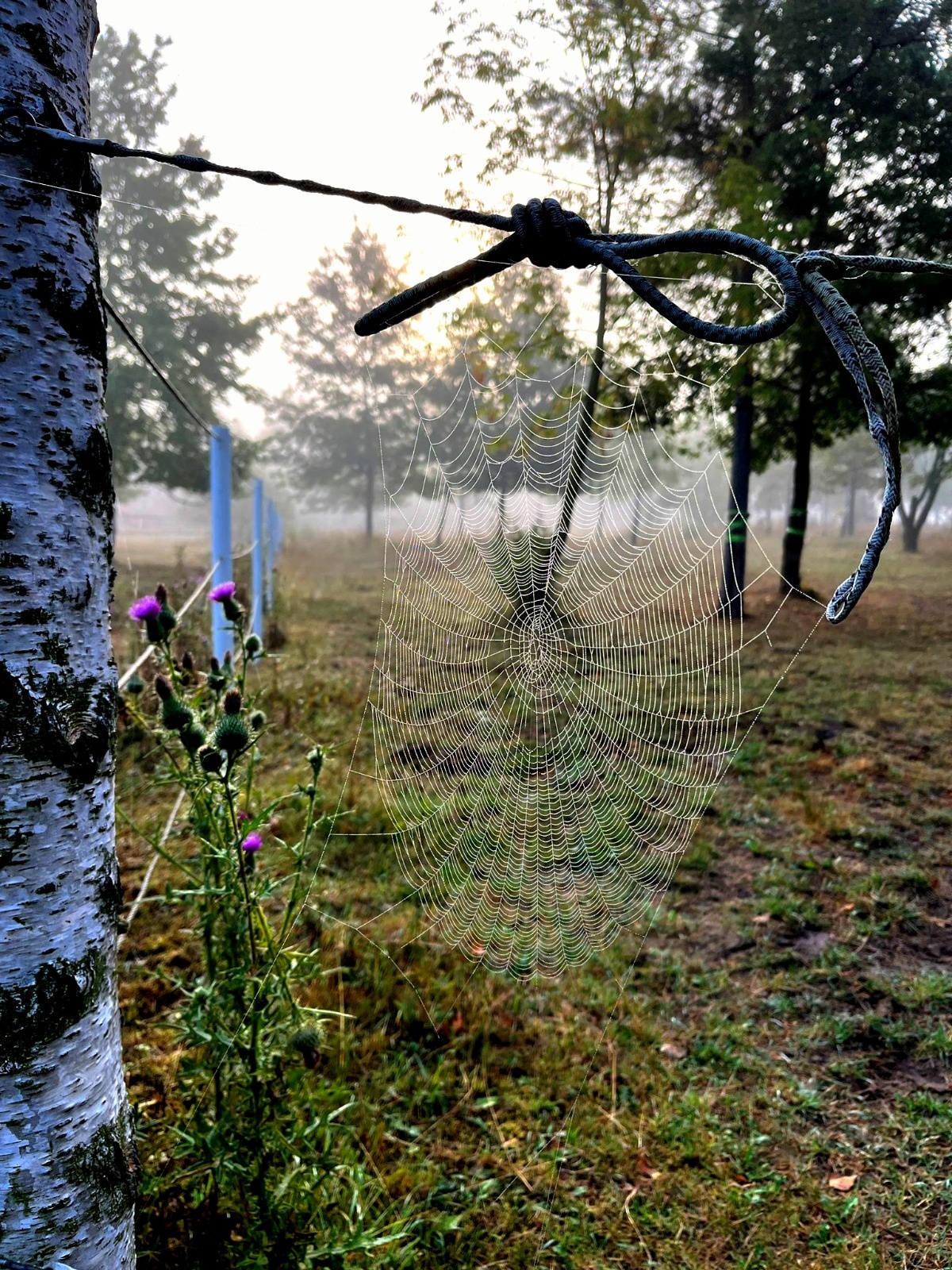 96f7b4e3-8139-421a-bc92-aaf9c7a21053