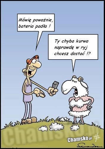 d82131de-a84e-4036-b1ec-f9715a97b9d4