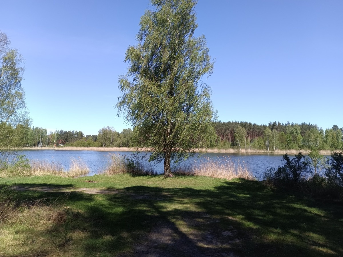 6bf89c20-f137-49e7-9f33-83483bfc12d3